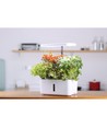 Potager hydroponique LEDlife - Blanc, avec lampe de croissance, 10 emplacements, minuterie, 2,8L