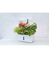 LEDlife jardin potager hydroponique - Blanc, avec lumière de croissance, 8 emplacements, minuterie, réservoir d