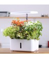 LEDlife jardin potager hydroponique - Blanc, avec lumière de croissance, 8 emplacements, minuterie, réservoir d