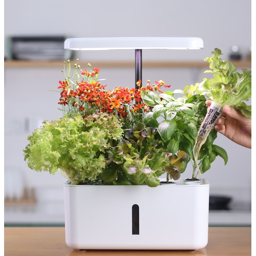 Potager hydroponique LEDlife - Blanc, avec lampe de croissance, 10 emplacements, minuterie, 2,8L