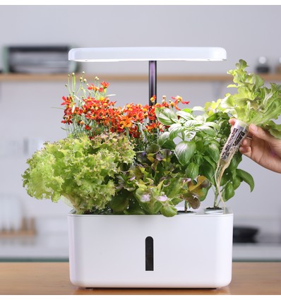 Potager hydroponique LEDlife - Blanc, avec lampe de croissance, 10 emplacements, minuterie, 2,8L