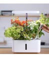 LEDlife jardin potager hydroponique - Blanc, avec lumière de croissance, 8 emplacements, minuterie, réservoir d
