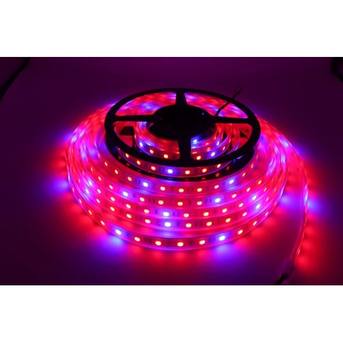 8,5W/m stænktæt vækst LED strip - 5m, 60 LED pr. meter, 24V DC, IP65