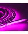 5m 8W/m AnyCut Neon Flex 10x10 Paars/Roze LED-strip - 12V DC, Paars/Roze, Geen knipafstand