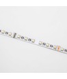 5 meter 12W/m RGB+WW LED-strip - 24V DC, IP20, 60 LED pr. meter