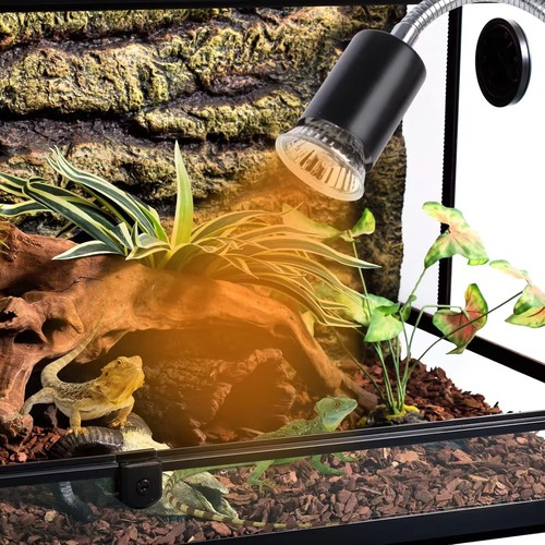 Lampe chauffante pour reptiles UVA/UVB - 50W, pince de fixation