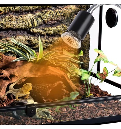 Lampe chauffante pour reptiles UVA/UVB - 50W, pince de fixation