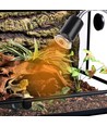 Lampe chauffante pour reptiles UVA/UVB - 50W, pince de fixation