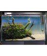 75-100 cm akvarie armatur - 19W LED, hvid/blå/rød/grøn, justerbar længde, IP66