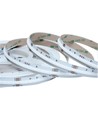 5m 20W/m RGB+WW COB-LED-strip - 24V DC, IP20, 784 LED pr. meter, COB LED