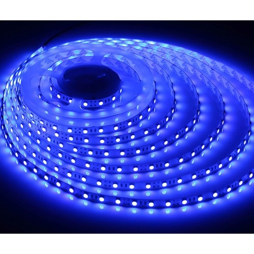 5m 10W/m Blå 450 nm LED-strip - 24V DC, IP20, 120 LED pr. meter