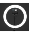 10W LED RINGLYS - 10 tommer, med bordstativ, 3200K-5500K
