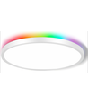 39W CCT plafondlamp met RGBIC backlight - Ø30cm, Tuya, incl. afstandsbediening