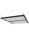 Lampe de croissance Quantum 240W - Incl. suspension, spectre complet, sans ventilateur, intensité lumineuse réglable, IP65