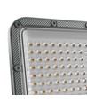 100W NOCTIS MAX 2 LED breedstraler - 100lm/W, IP65, CW, 5 jaar garantie