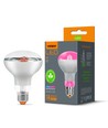 Ampoule LED E27 9W pour croissance des plantes - R80, 120°, 14 µmol/s, stimule la croissance