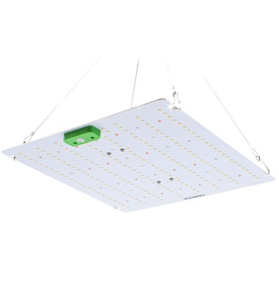 Quantum växtlampa 65W - Inkl. upphängning, fullt spektrum, utan fläkt, IP65