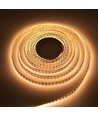 5m 17W/m Ruban LED DimToWarm RA95 - 24V, IP20, 224 LED par mètre