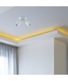 Spot mural/plafonnier 2xGU10 - Blanc, IP20 intérieur, sans source lumineuse