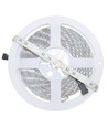 Ruban LED 5 mètres 12W/m RGB+WW - 24V DC, IP65, 60 LED par mètre