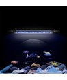 Armature d'aquarium 60-80 cm - 18W LED, blanc/bleu, réglable