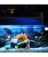 Lampe d'aquarium 27,5 cm - LED 10W, blanc/bleu