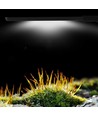 27,5 cm aquariumlamp - 10W LED, wit/blauw