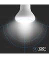 Ampoule LED E27 8,5W – 3000K, R63