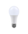 Ampoule LED E27 15W - A65, 1500lm, angle 200°, remplace 100W
