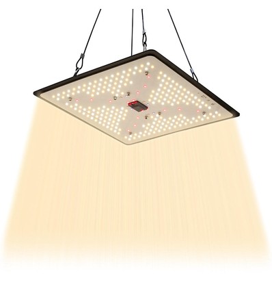 Quantum lampe de croissance 105W - Incl. suspension, spectre complet, sans ventilateur, IP65