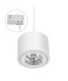CHLOE AR111 GU10 - 250V IP20 139x100mm BLANC rond orientable RAIL 3-FASES