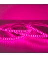 5 m. waterdichte groei LED strip - Compleet met stekker, 230V, IP67, 180 LED, 10W per meter