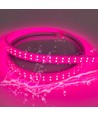 5 m. vandtæt vækst LED strip - 230V, IP67, 180 LED, 10W pr. meter