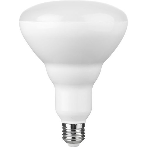 Ampoule LED E27 14W dimmable - R120, 1300lm, 2700K