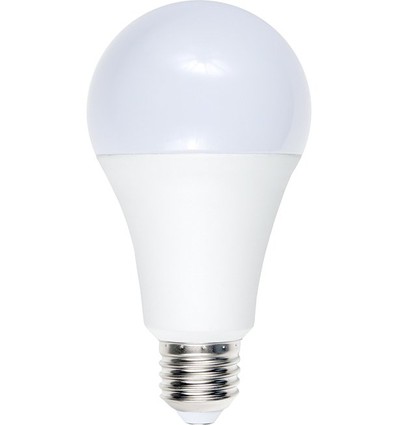 E27 12W LED lamp, 12-60V - A70, 1100lm, opaal glas, 3000K, AC/DC