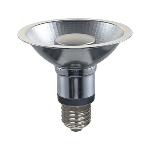 Ampoule LED PAR30 E27 12W dimmable - 725lm, 35°, 2700K, finition grise