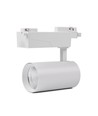 Spot sur rail monophasé 29W RA98 - 110lm/w, blanc, 1F2W