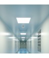 60x60 LED-panel, 40W - Höjd:33mm, CREE LED, 120lm/W, 6 års garanti, vit kant