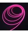 5m 8W per meter Roze 8x16 Neon Flex LED - 12V DC, IP67