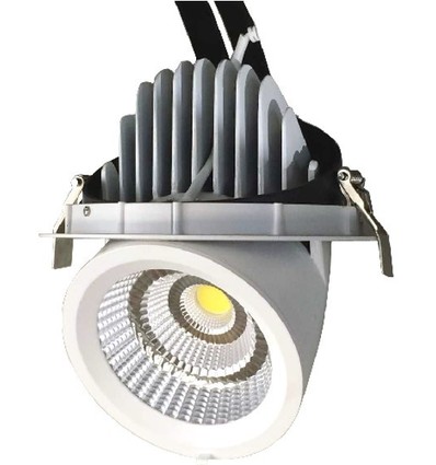 35W Ø16,5cm Downlight - Zaagmaat: Ø15,5 cm, Afmetingen: Ø16,5 cm, Verstelbare hoek