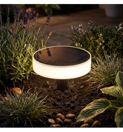 Solar tuinlamp - IP65, schemersensor, grondspies/wandmontage