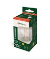 Ampoule LED E27 5,5W dimmable