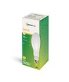 E27 36W LED-pære - 360°, mattet glass