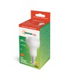 Ampoule LED E14 6W - R50