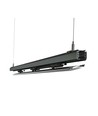 Outlet: Projecteur LED rail 3 phases 50W - 136 lm/W, puissance réglable, noir