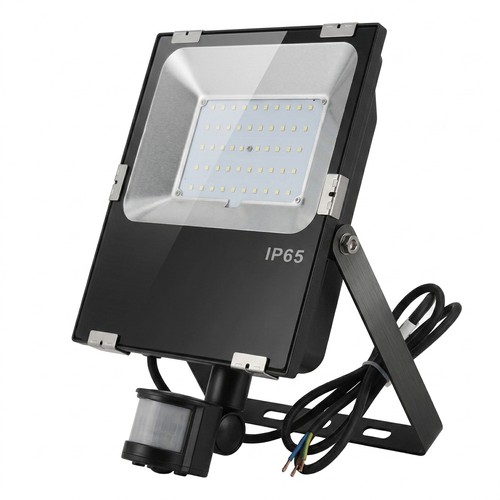 Outlet: Projecteur 50W avec détecteur - IP65, noir, lampe de travail, capteur PIR