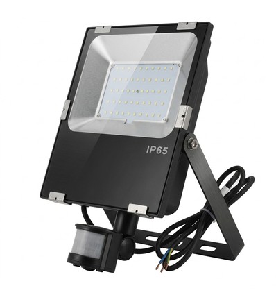 Outlet: Projecteur 50W avec détecteur - IP65, noir, lampe de travail, capteur PIR