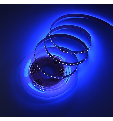 5m 10W/m UV 400 nm LED-strip - 24V DC, IP20, 120 LED