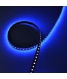 5m 10W/m UV 400 nm LED-strip - 24V DC, IP20, 120 LED