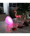 Lampe de table rechargeable avec contrôle par application - RGB+CCT, Tuya